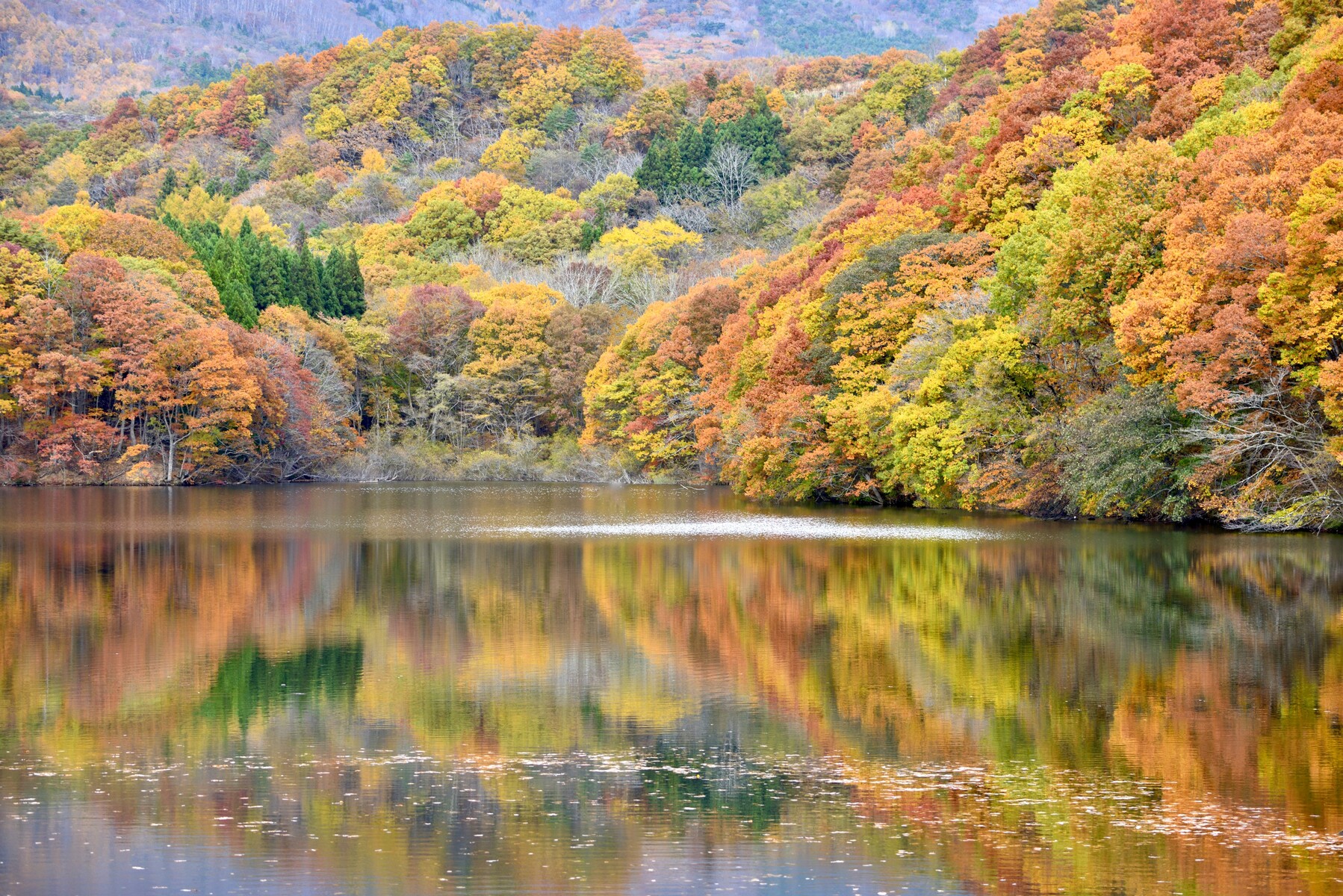 紅葉を求めて 5 長老湖 クリントンのひとりごと 紅葉を求めて 5 長老湖 クリントンのひとりごと