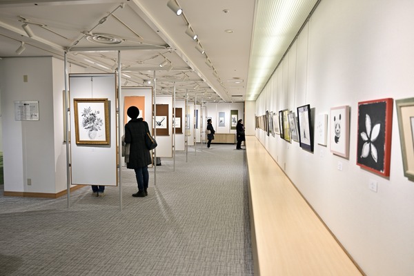 ���ƤλŻ����ϲ�Ÿ�̿����ơ�