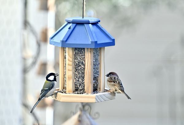 ���Ȥ��̿���2026ǯ1��4���˥�����դ�