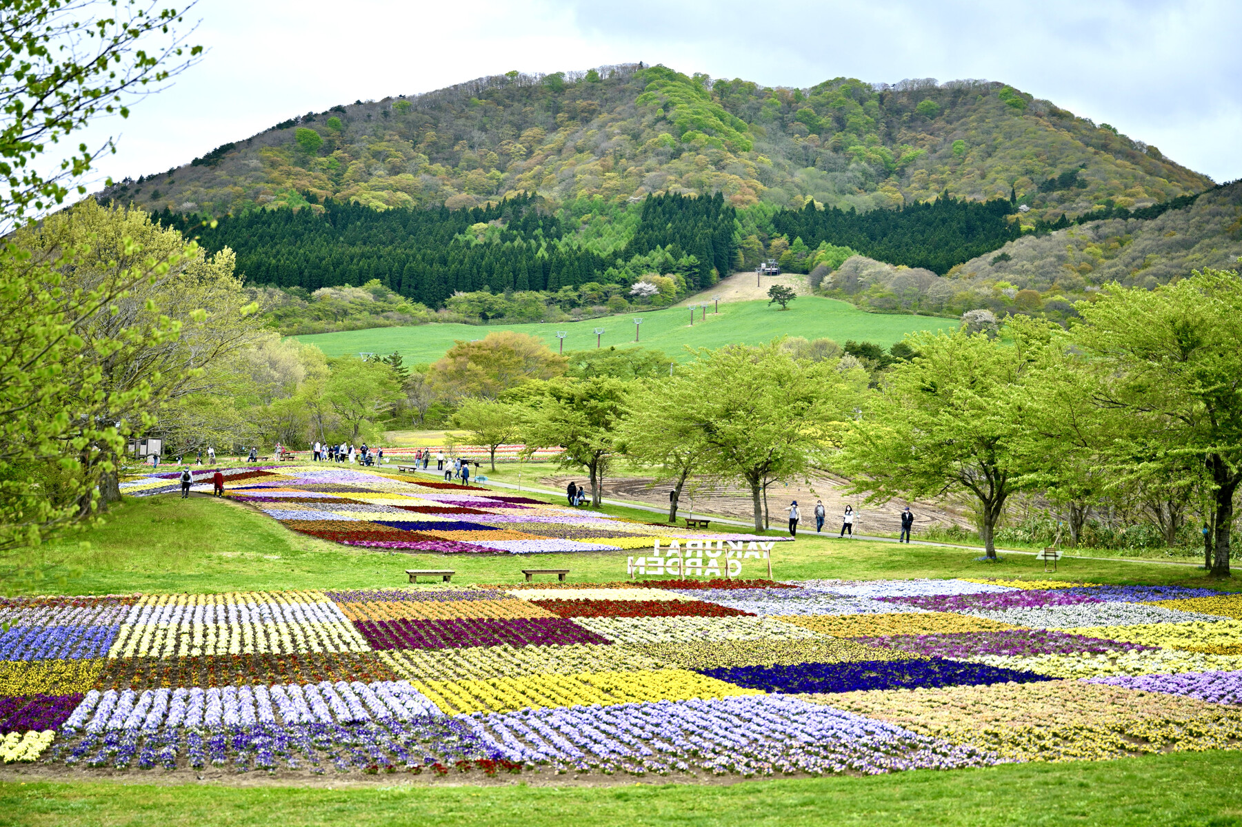 やくらいガーデン 5月1日 クリントンのひとりごと
