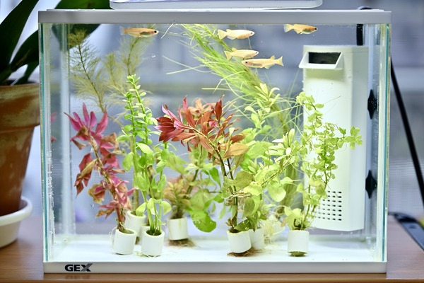 �������������