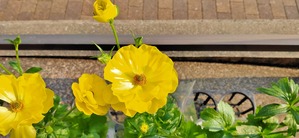 IMG20220110151448_01