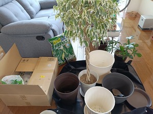 IMG20260406160244