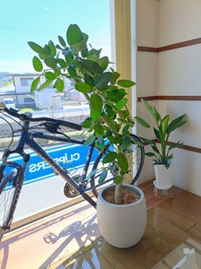 IMG20260407122201