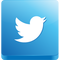 Twitter Follow Me