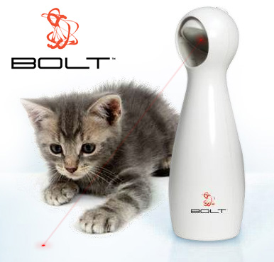 猫にレーザービームを おもちゃです おもちゃ きよおと Kiyoto
