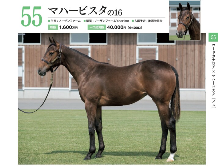 キャロット17募集 出資申込み馬は 9 6最終中間発表 しもべの戯言