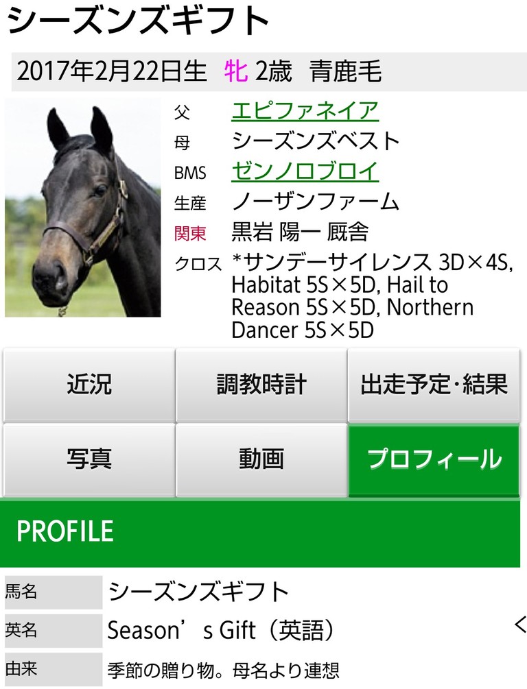 キャロット 馬名発表 しもべの戯言