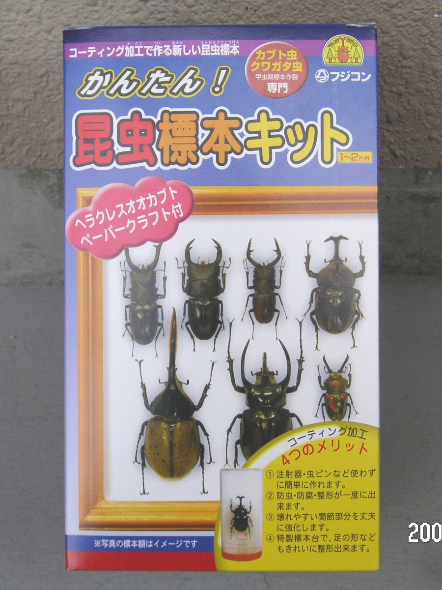 昆虫標本セット Cloppy の飼い主雑記 昆虫標本セット Cloppy の飼い主雑記