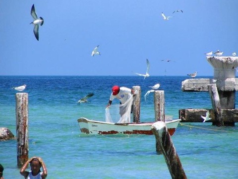 o0600045010191617993