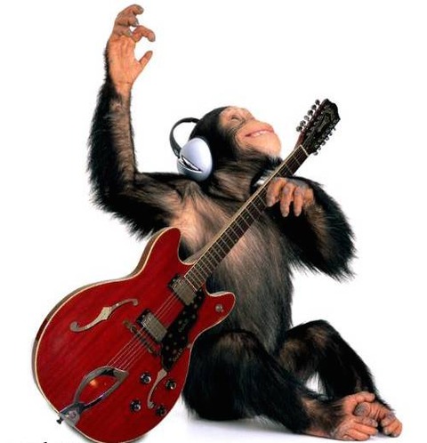 chimp-playing-guitar