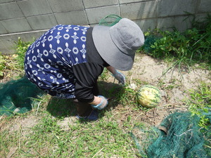 DSCN7224