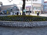 hana13