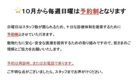 スクリーンショット 2025-08-25 22.29.07