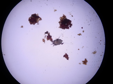 RIMG4838