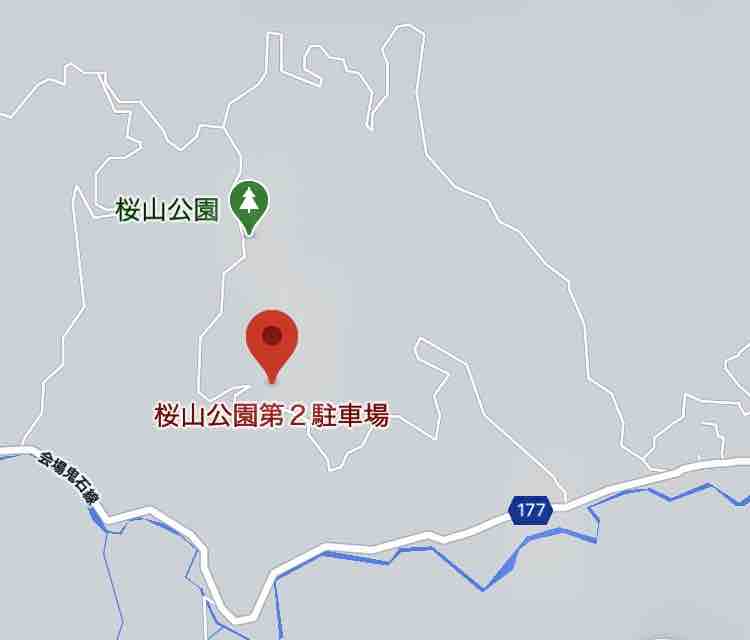 群馬 甘い香り漂う黄金色のトンネル 桜山公園のロウバイ 何度でも訪れたい日本の風景