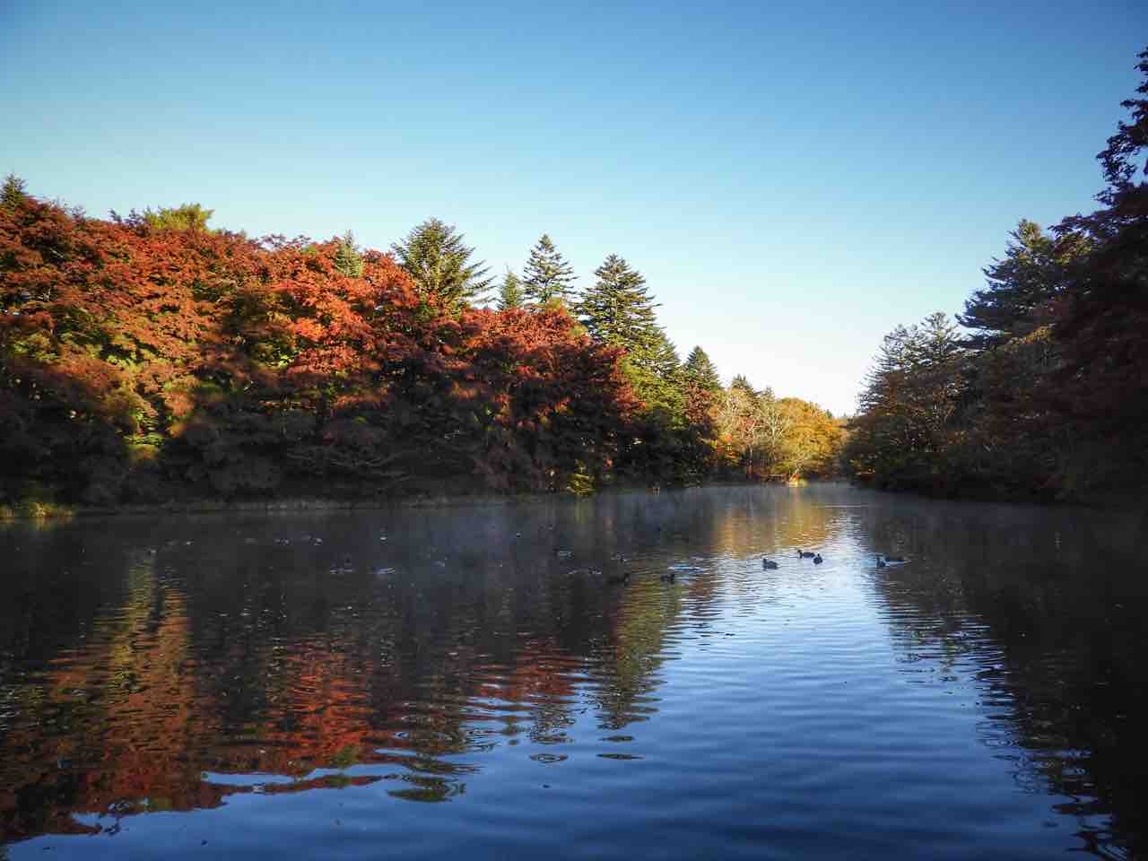 雲場池錦秋 紅葉がきれいな池【雲場池】｜*and trip. たびびと