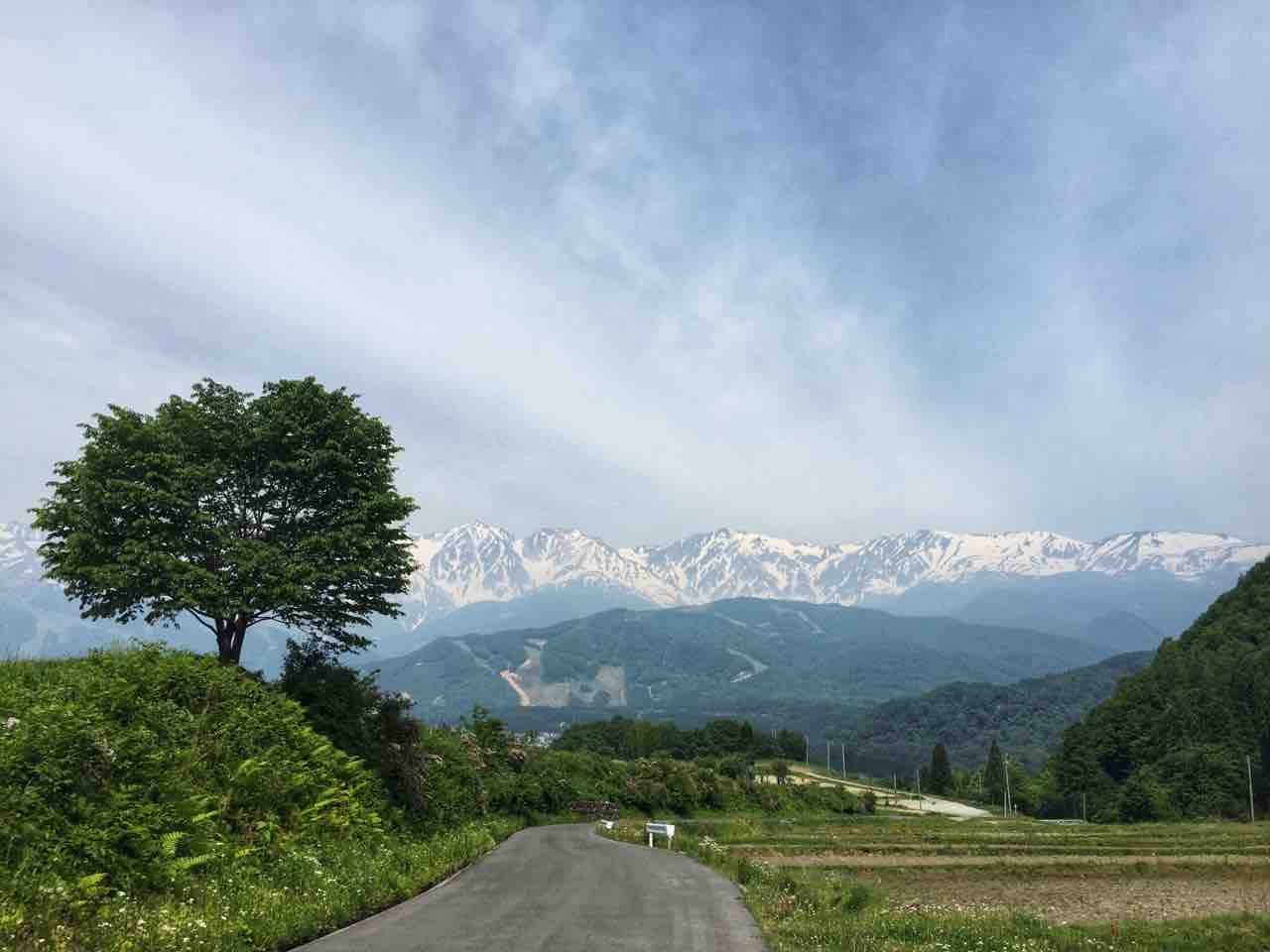 長野 ロケーションが素晴らしい野平の一本桜 何度でも訪れたい日本の風景