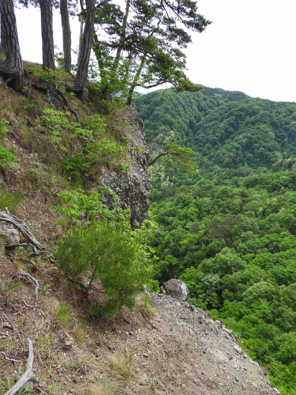 何度でも訪れたい日本の風景
	  【岩手】ローカルな絶景#8 断崖絶壁に佇む石祠 馬仙峡の男神岩