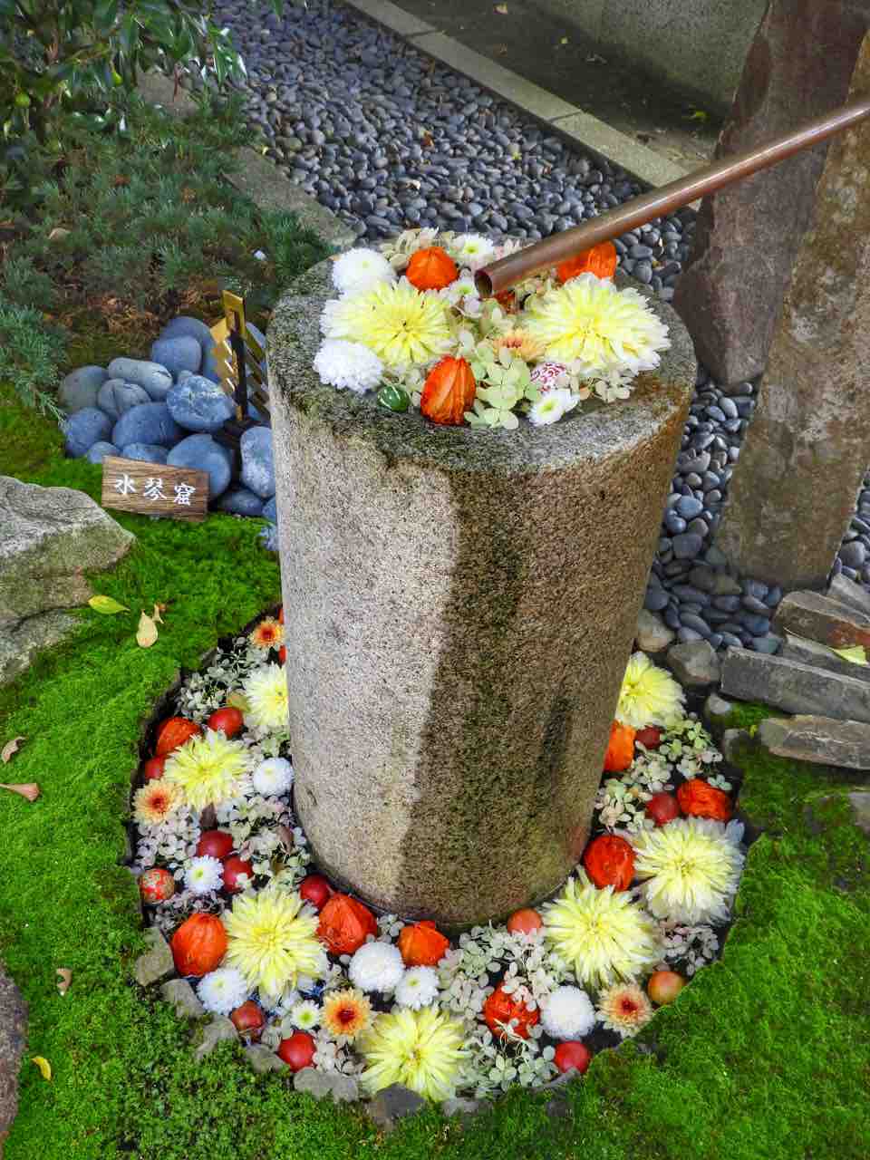 埼玉 秋の花が手水鉢を彩る 行田八幡神社の花手水 何度でも訪れたい日本の風景