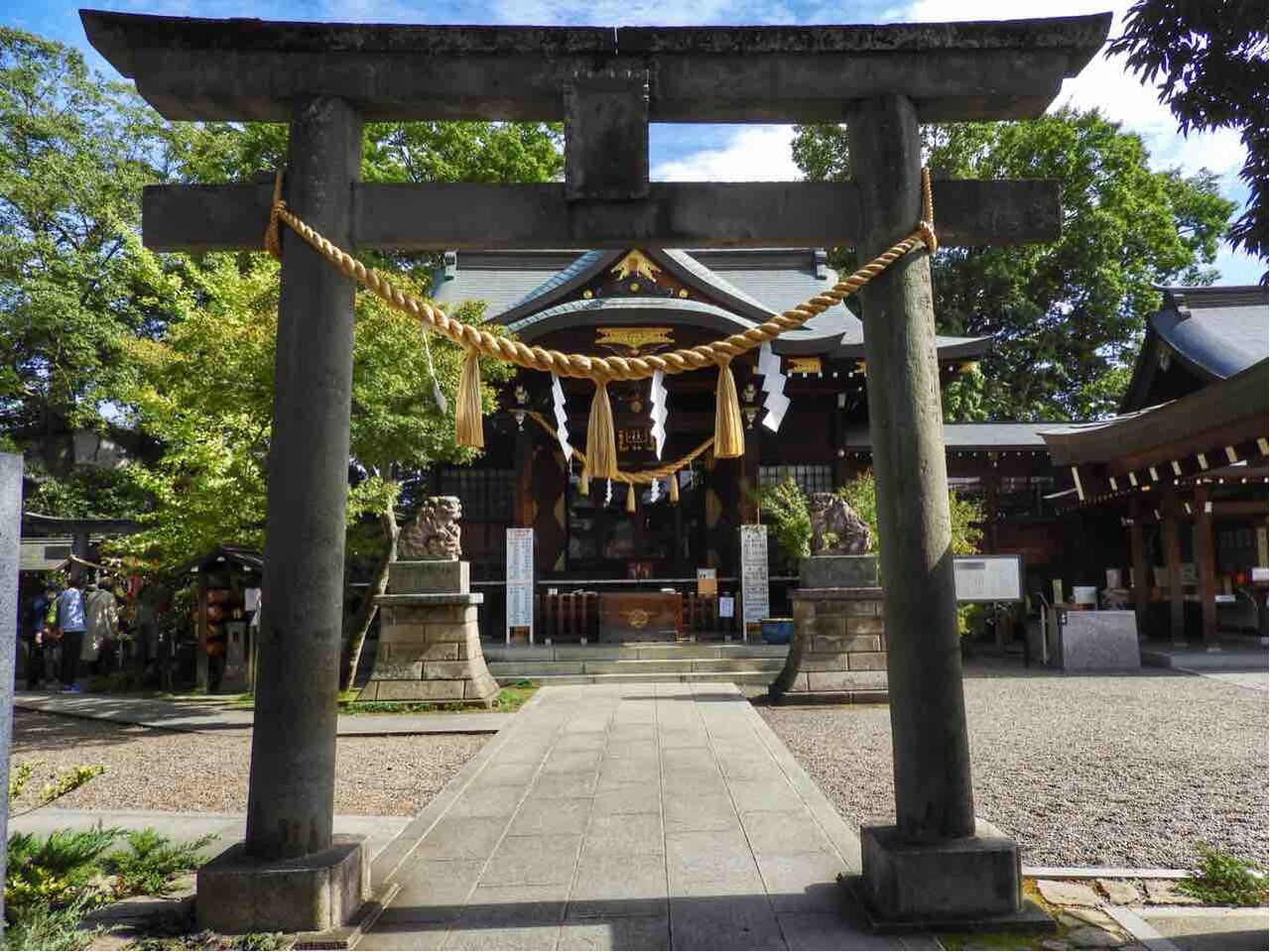 埼玉 秋の花が手水鉢を彩る 行田八幡神社の花手水 何度でも訪れたい日本の風景 埼玉 秋の花が手水鉢を彩る 行田八幡神社の花手水 何度でも訪れたい日本の風景