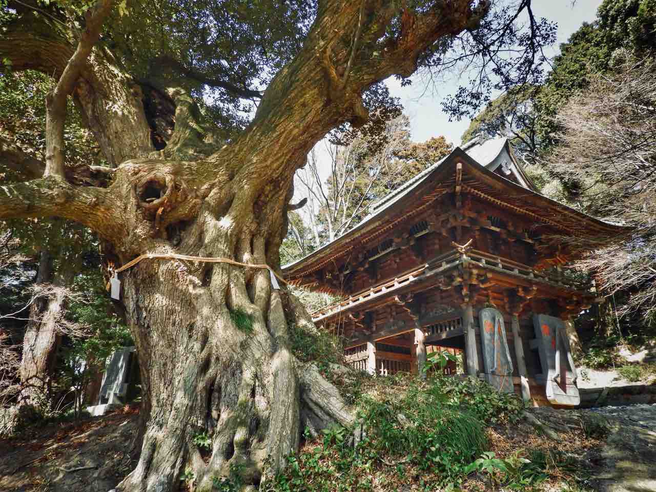 茨城】筑波山の巨岩テラス 立身石 : 何度でも訪れたい日本の風景