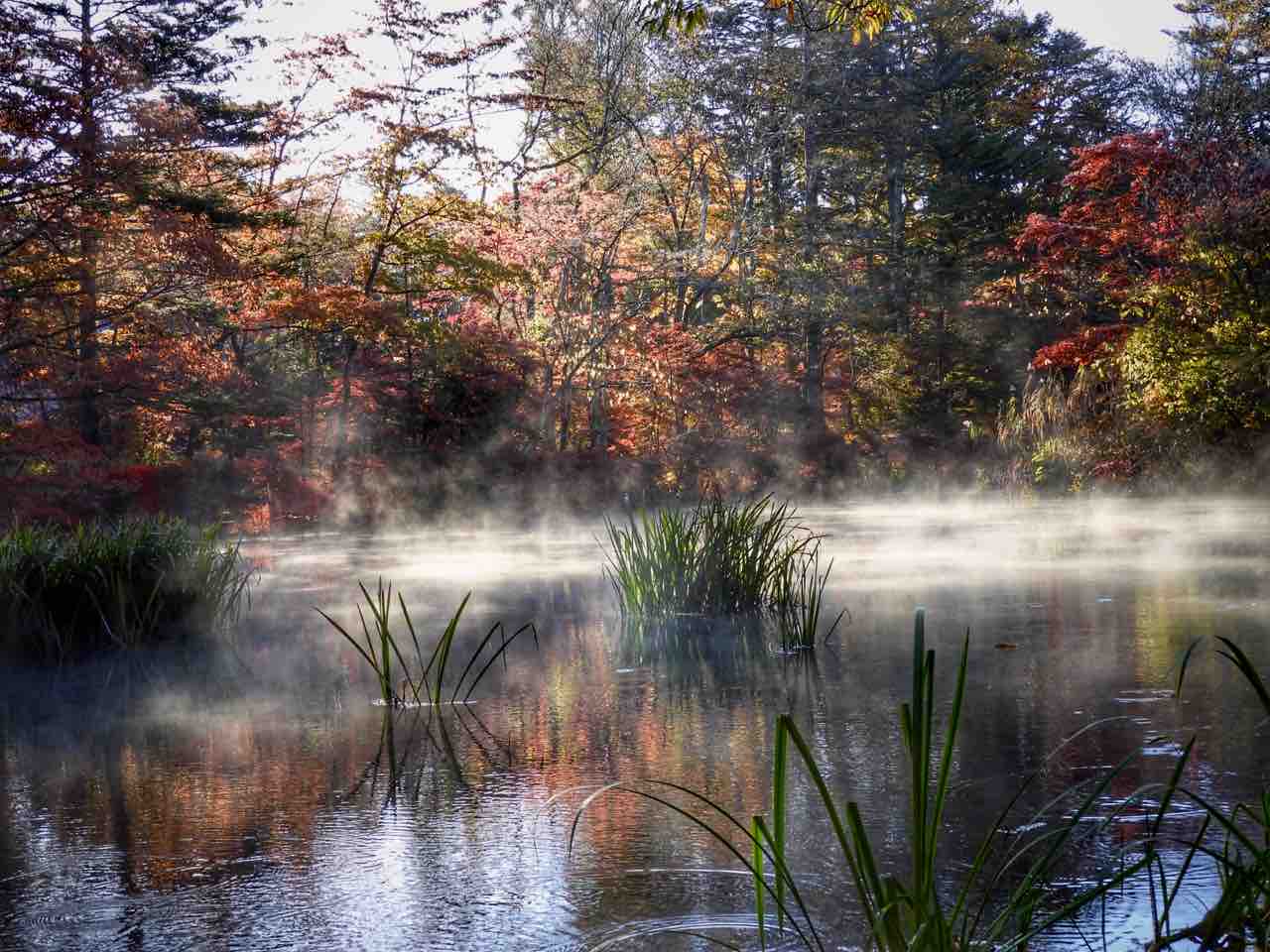 雲場池錦秋 紅葉がきれいな池【雲場池】｜*and trip. たびびと