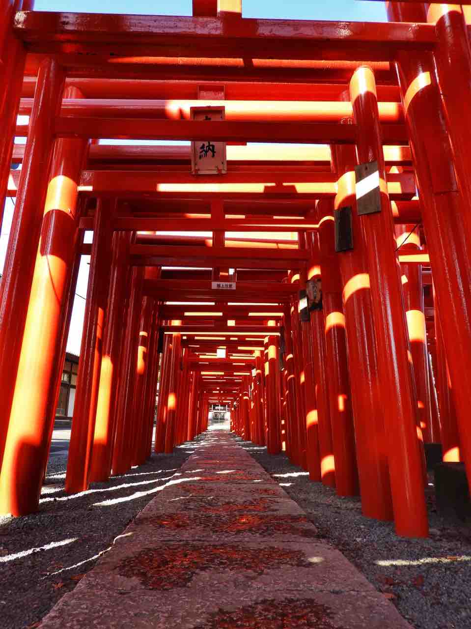群馬 密に絡み合う朱色の鳥居 小泉稲荷神社 何度でも訪れたい日本の風景