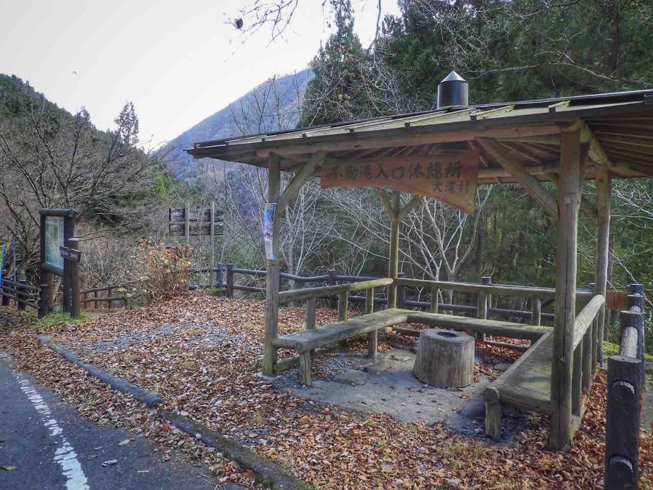 埼玉 奥秩父の名瀑を見守る巨木 大除沢不動滝のトチノキ 何度でも訪れたい日本の風景 埼玉 奥秩父の名瀑を見守る巨木 大除沢不動滝のトチノキ 何度でも訪れたい日本の風景