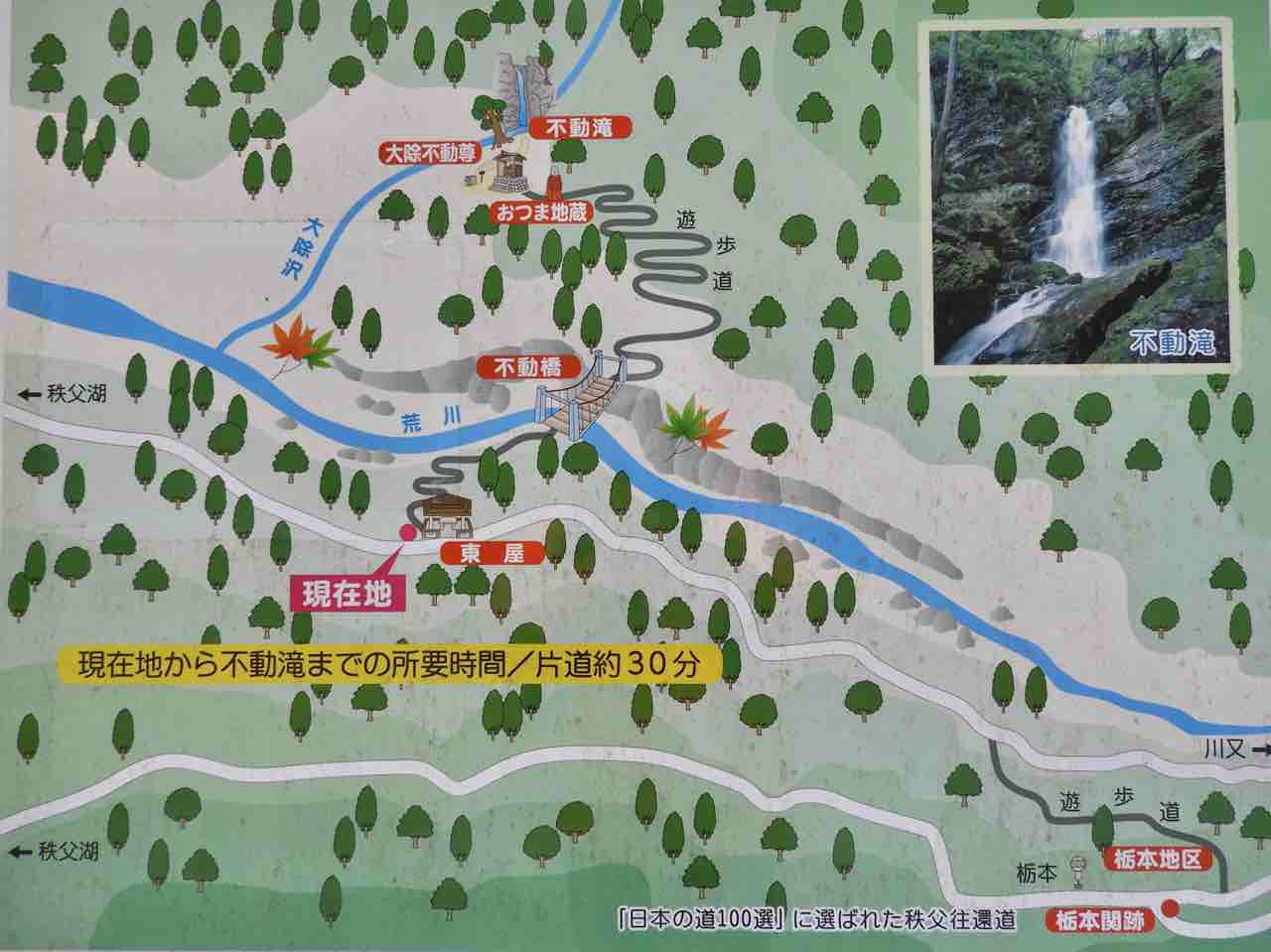 埼玉 奥秩父の名瀑を見守る巨木 大除沢不動滝のトチノキ 何度でも訪れたい日本の風景 埼玉 奥秩父の名瀑を見守る巨木 大除沢不動滝のトチノキ 何度でも訪れたい日本の風景