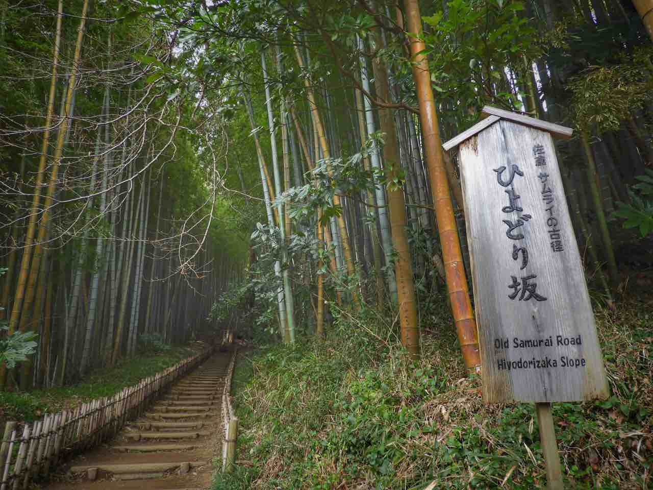 千葉】サムライが歩いた竹林の古径 佐倉の“ひよどり坂” : 何度 千葉】サムライが歩いた竹林の古径 佐倉の“ひよどり坂” : 何度