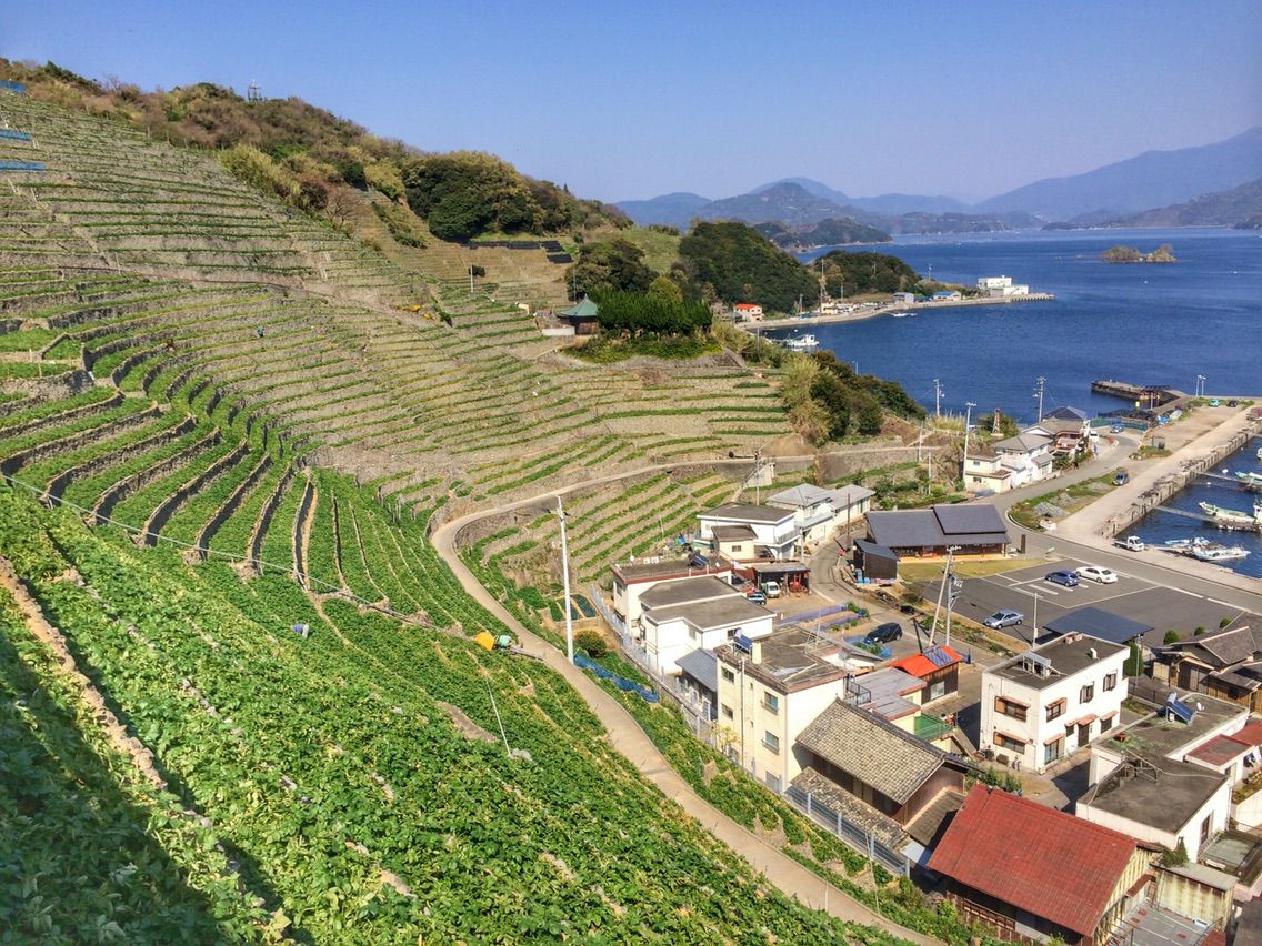 何度でも訪れたい日本の風景
	  【愛媛】よそ見をしてると転がり落ちる 遊子水荷浦の段畑
	コメント