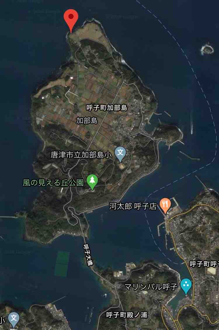 加部島の素晴らしい絶景 杉ノ原放牧場（佐賀県唐津市呼子町）の