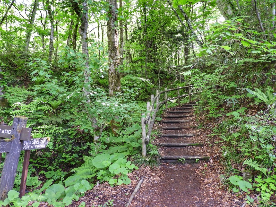青森 青池を凌ぐ透明度 沸壺の池 何度でも訪れたい日本の風景 青森 青池を凌ぐ透明度 沸壺の池 何度でも訪れたい日本の風景
