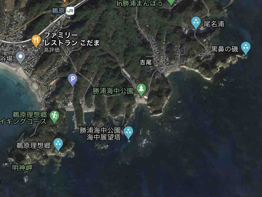 2025年最新】房総半島パーフェクト地磯ガイドの人気アイテム