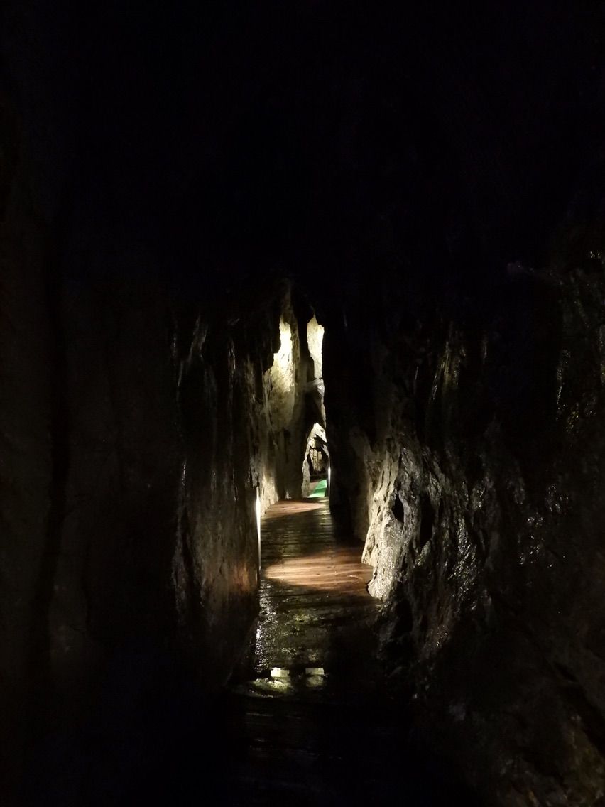 岩手】太古へ繋がる扉 鍾乳洞へ#cave4 龍泉洞 : 何度でも訪れ 岩手】太古へ繋がる扉 鍾乳洞へ#cave4 龍泉洞 : 何度でも訪れ