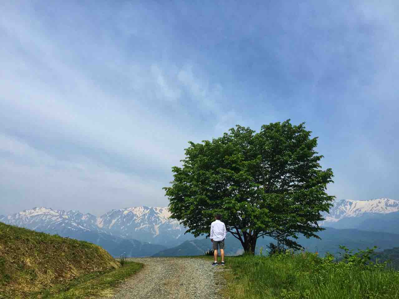 長野 ロケーションが素晴らしい野平の一本桜 何度でも訪れたい日本の風景