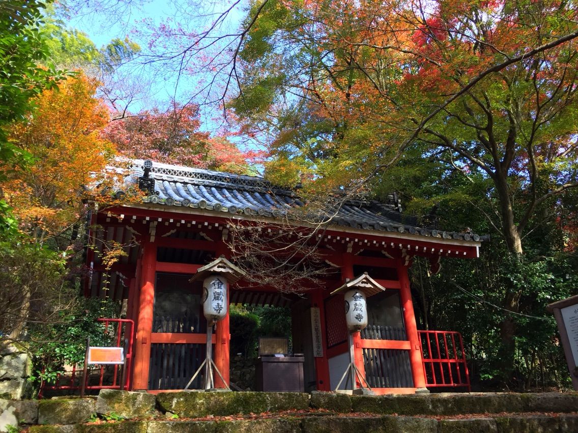 京都 狸が酒盛りをしている紅葉の名所 金蔵寺 何度でも訪れたい日本の風景 京都 狸が酒盛りをしている紅葉の名所 金蔵寺 何度でも訪れたい日本の風景