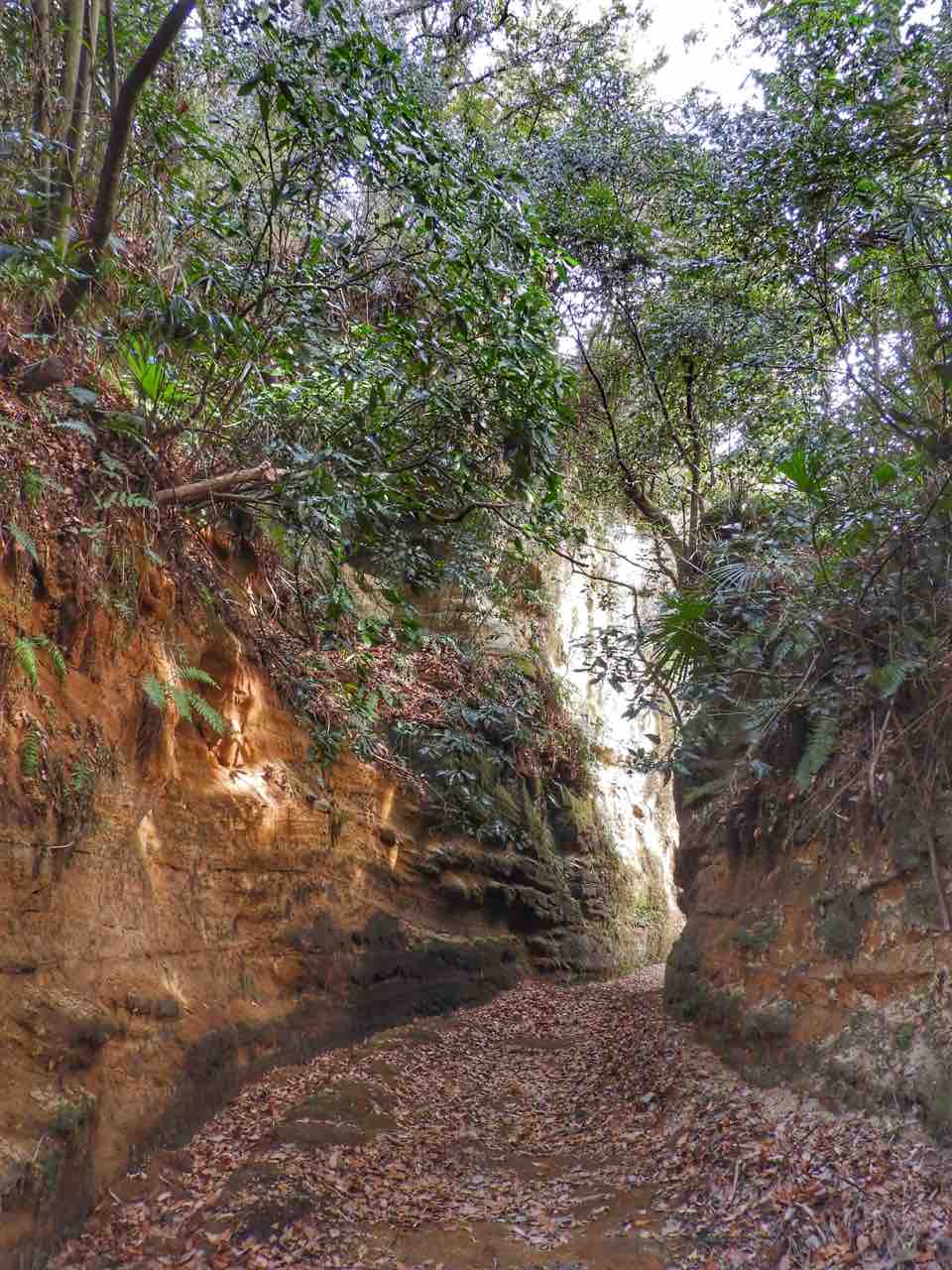 写経断簡・紺紙金字経 / 伝 亀山院 文化遺産オンライン