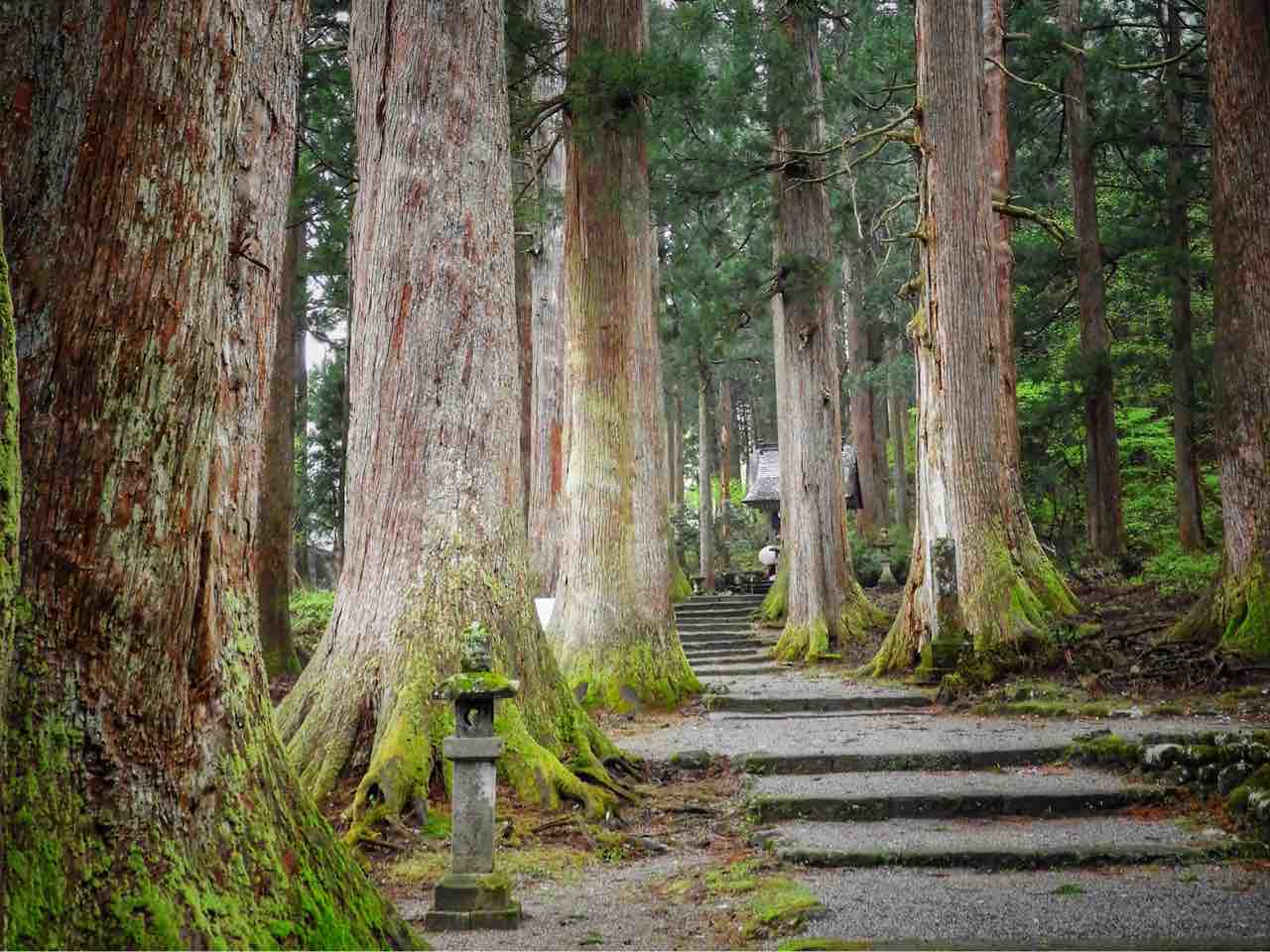 富山】立山信仰の伝統が息づく杉林 芦峅雄山神社 : 何度でも訪れ 富山】立山信仰の伝統が息づく杉林 芦峅雄山神社 : 何度でも訪れ
