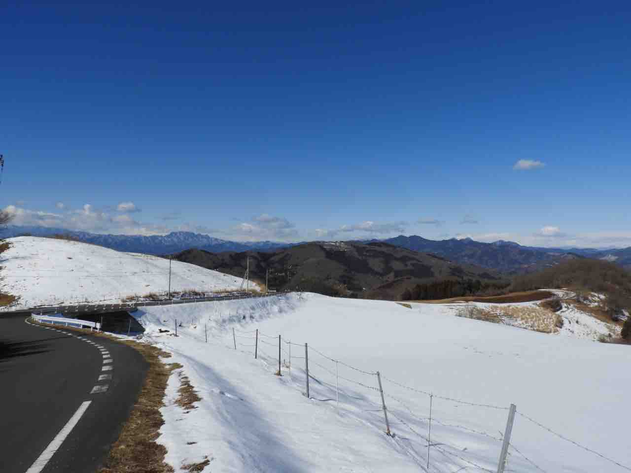 埼玉 オレンジ色に輝く福寿草 秩父紅が咲き始めました 何度でも訪れたい日本の風景