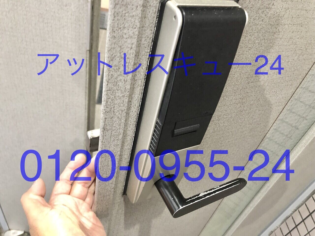 じゅじゅ様　904545 天板金網コーキング　鍵式ロック じゅじゅ様 904545 天板金網コーキング 鍵式ロック 温室・飼育ケース