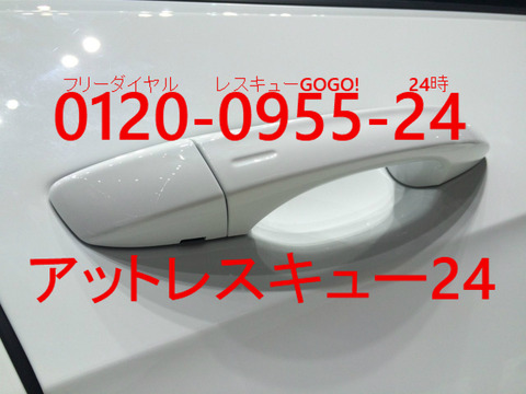 VWフォルクスワーゲンe-Golf キーシリンダーカバー