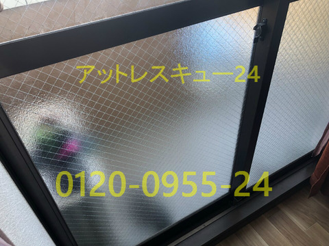 ガラス入れ替え型網菱タイプ