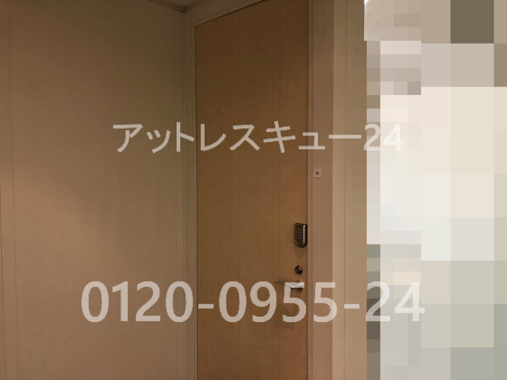 セリュールCuty番号式タッチ錠の不具合・オフィス仕切り扉カギ セリュールCuty番号式タッチ錠の不具合・オフィス仕切り扉カギ