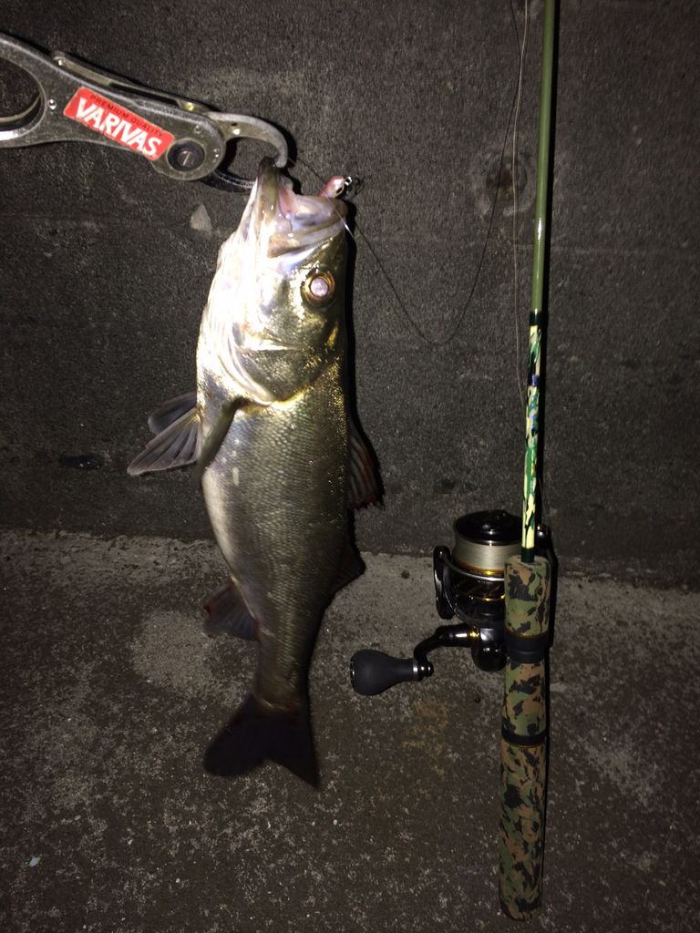 鱒レンジャー シーバス部隊 Burst High