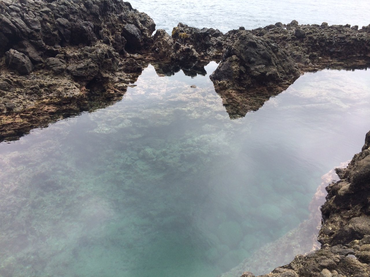 伊豆半島 陸っぱりシイラ Burst High