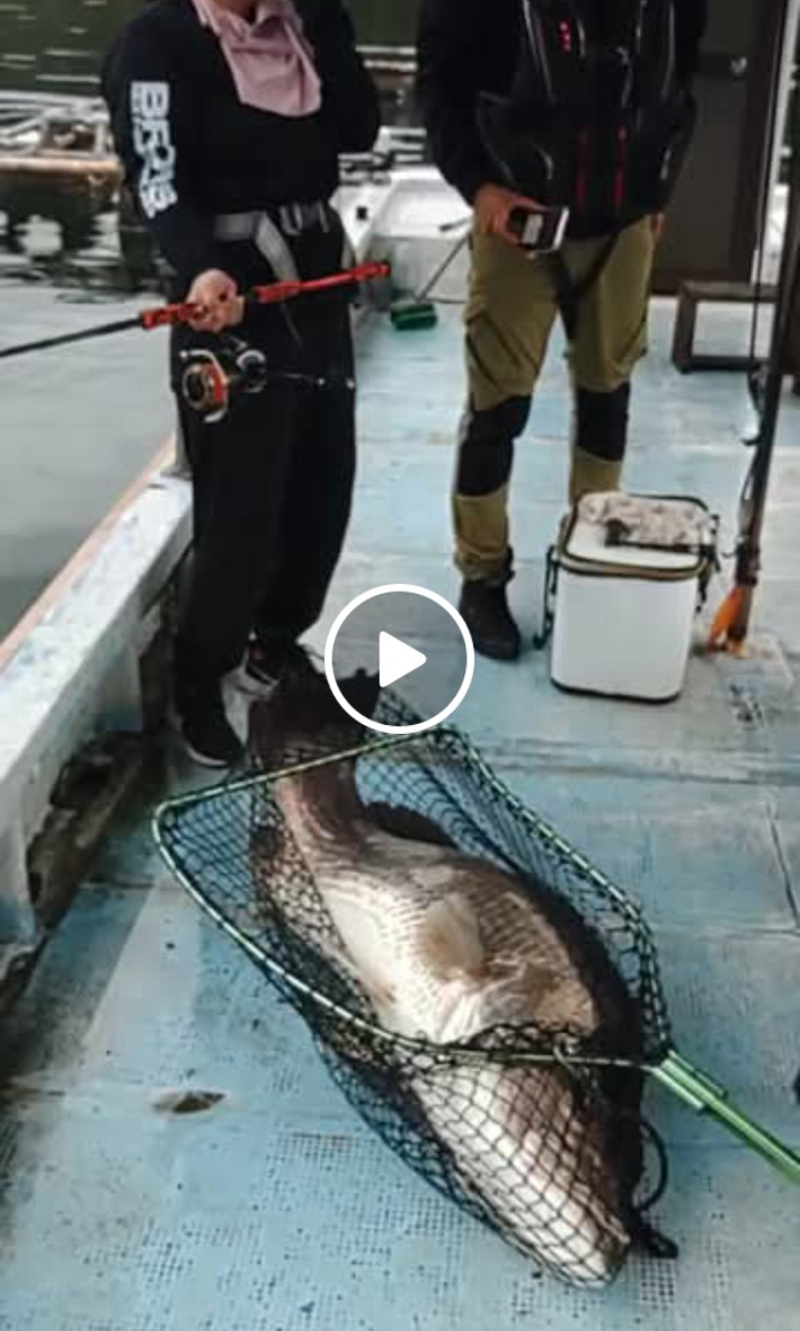 Screenshot_20251027-062824~2