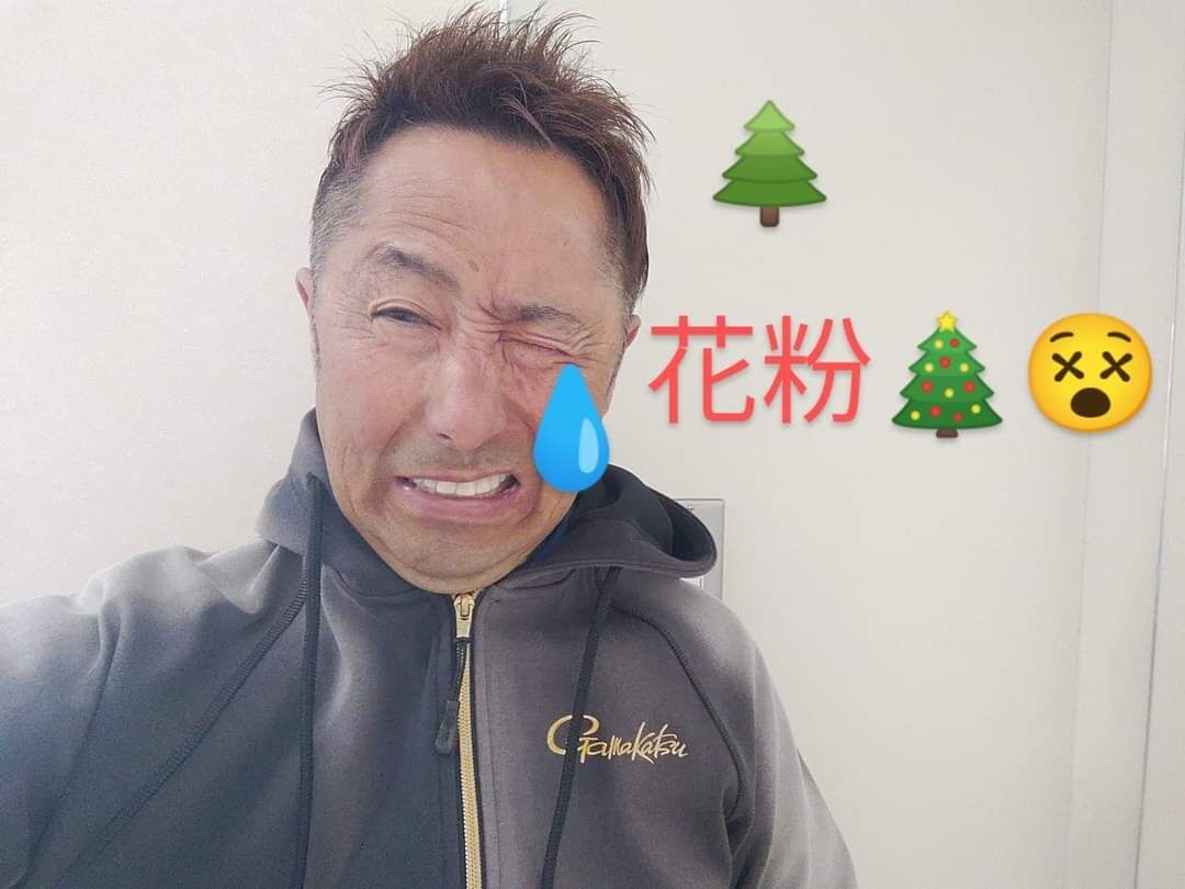 花粉ヤバいな…🎄😵｢キング｣です✨