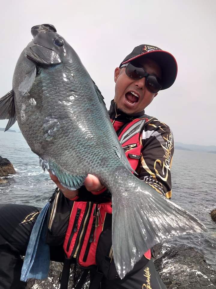 日曜日の愛媛県宇和島の御五神でのグレ釣りは